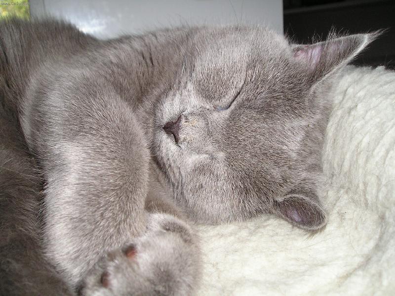 Foto: Fanda....-....haj�