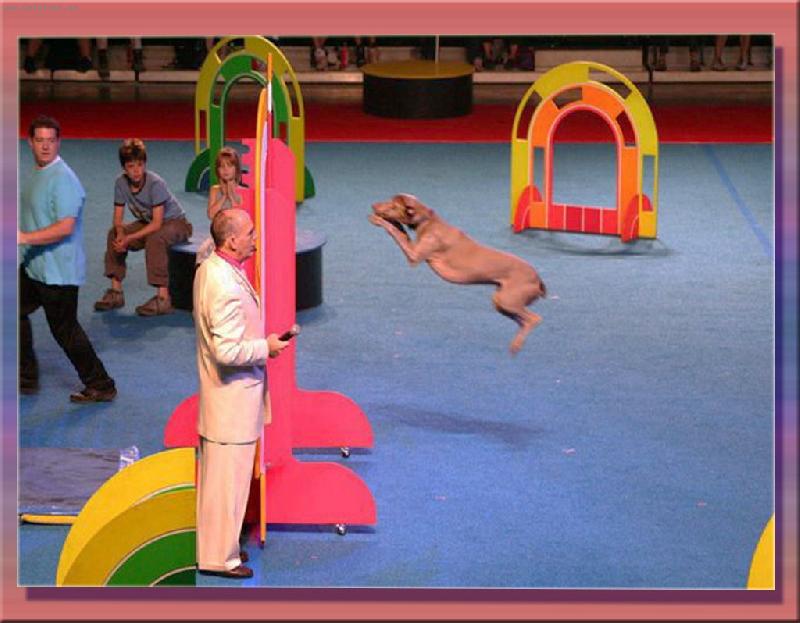 Foto: hop-a vyhr�l jsem !!!!