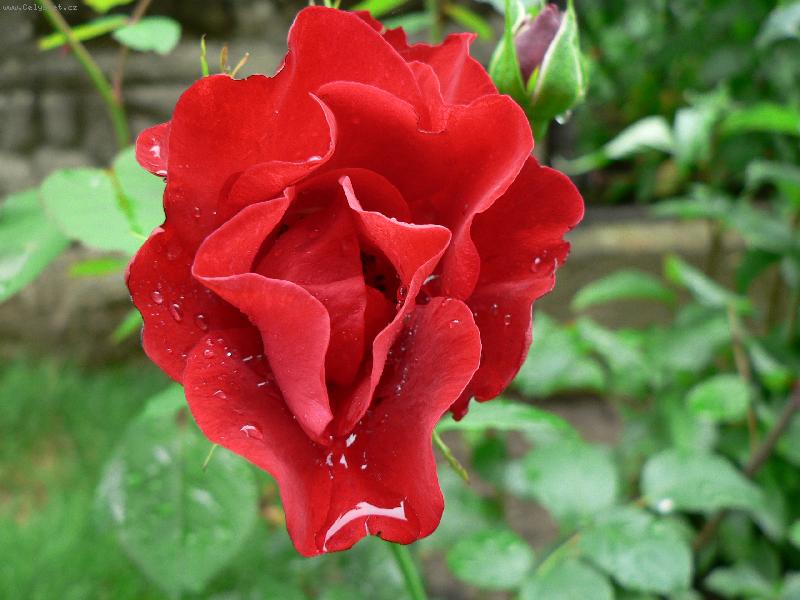 Foto: Osv�uj�c� d隝