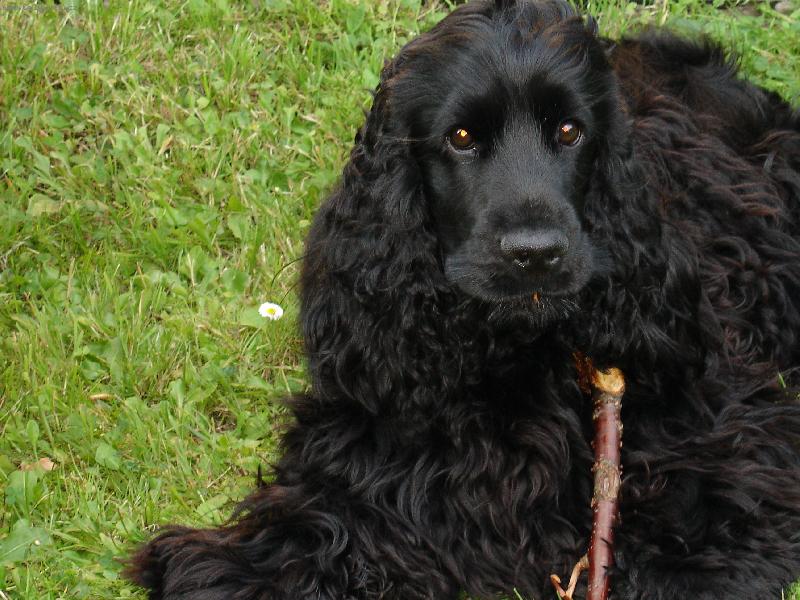 Foto: Na zahrad� je nejl�pe..-Milda