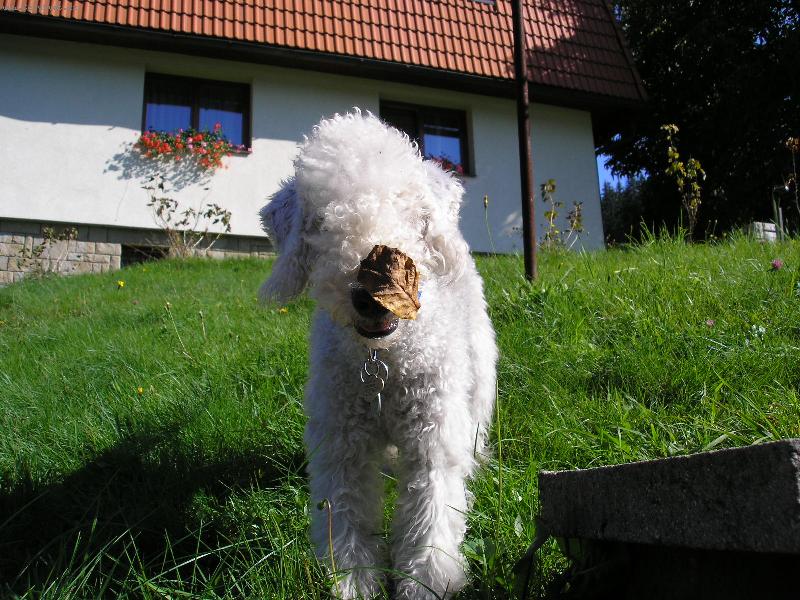 Foto: Bar�sek na dovolen�