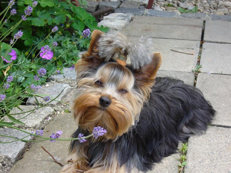 Foto: Sendy-Mil��ek rodiny