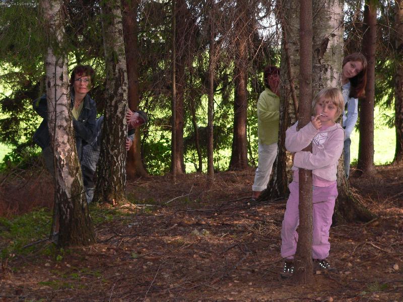 Foto: proch�zka v lese