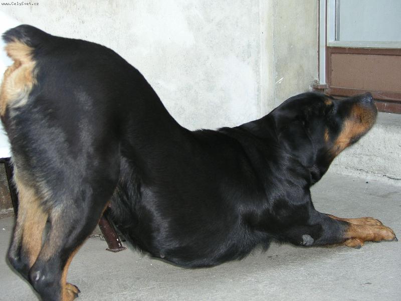 Foto: ran� prota�en�