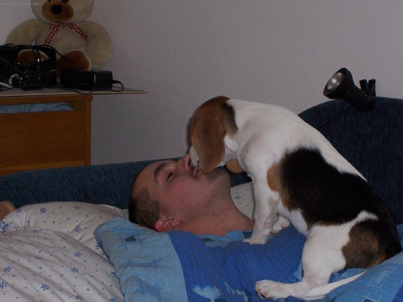 Foto: ve�ern� mazlen�