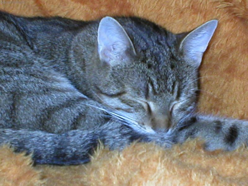 Foto: Bingo-odpo�inek