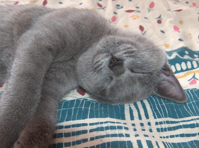 Foto: Mike�ka spink�-N�co kr�sn�ho se mi zd�...