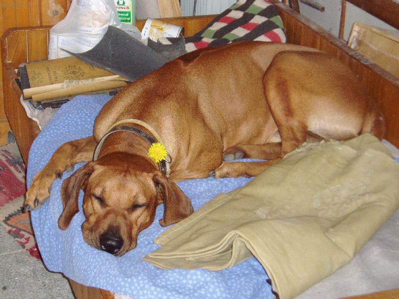 Foto: Willyho poledn� klid