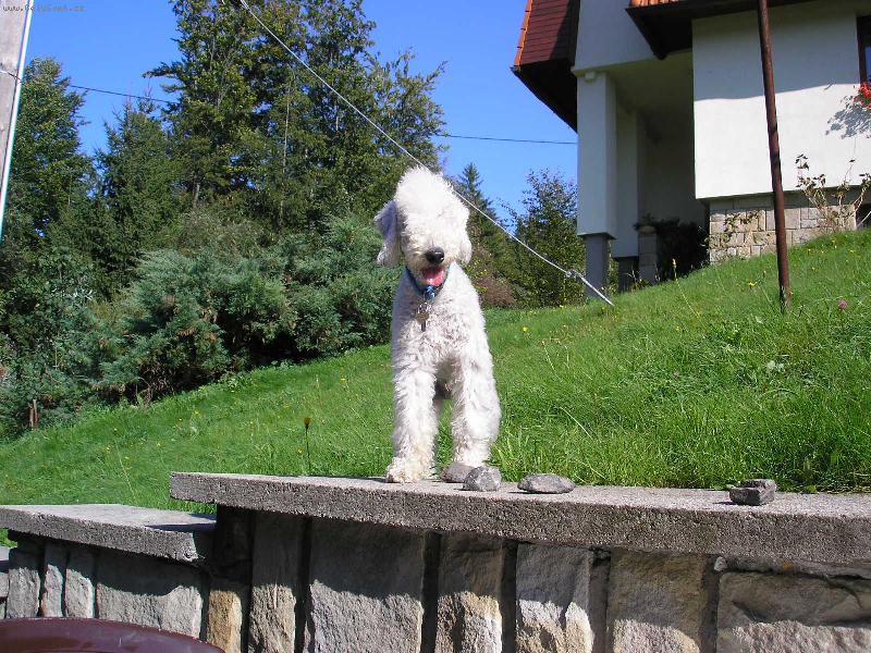 Foto: Jeee, to je sranda