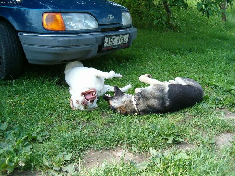 Foto: Holky se na sebe usm�vaj�