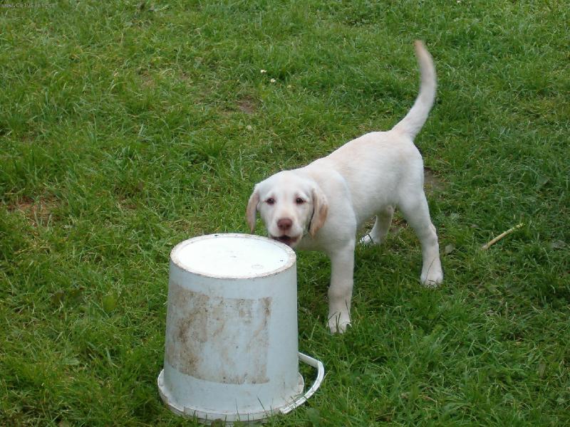 Foto: S�rinka-Ta b�l� v�c je velk�, d�l� snad n�co, no, rad�ji na ni za�t�k�m