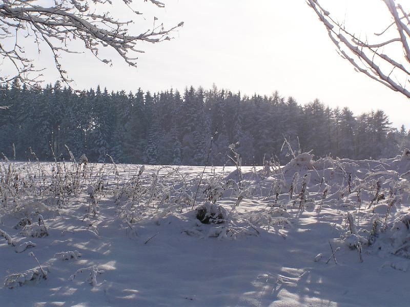 Foto: Zima na Vyso�in�