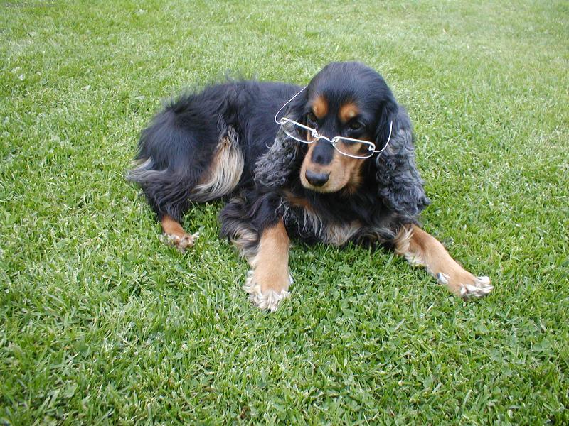 Foto: U� na v�s vid�m !!