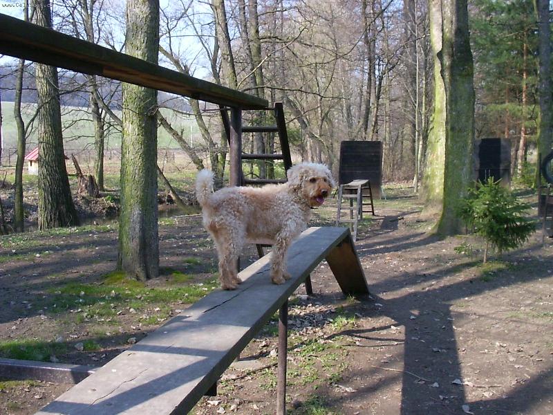 Foto: Betyna- No neni rozkosna? :)