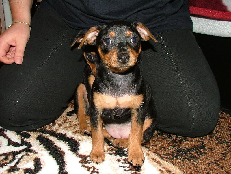 Foto: J� u� se fotit nebudu !!!