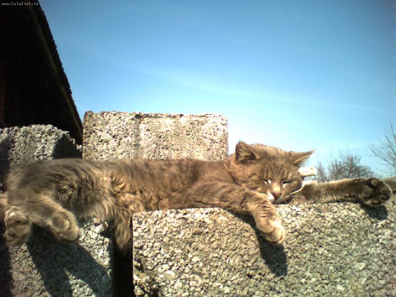 Foto: Mars�k-...a pr�, �e nejsou leniv� !! :-D