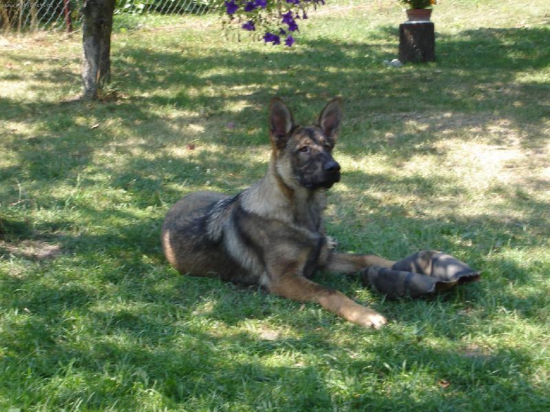 Foto: hl�da�-hl�d�m