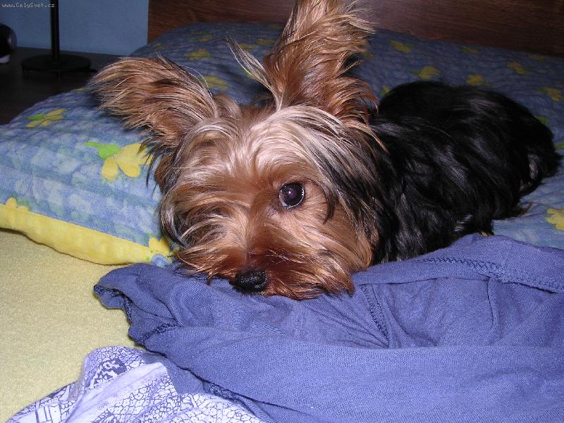 Foto: Baju�ka...:-)