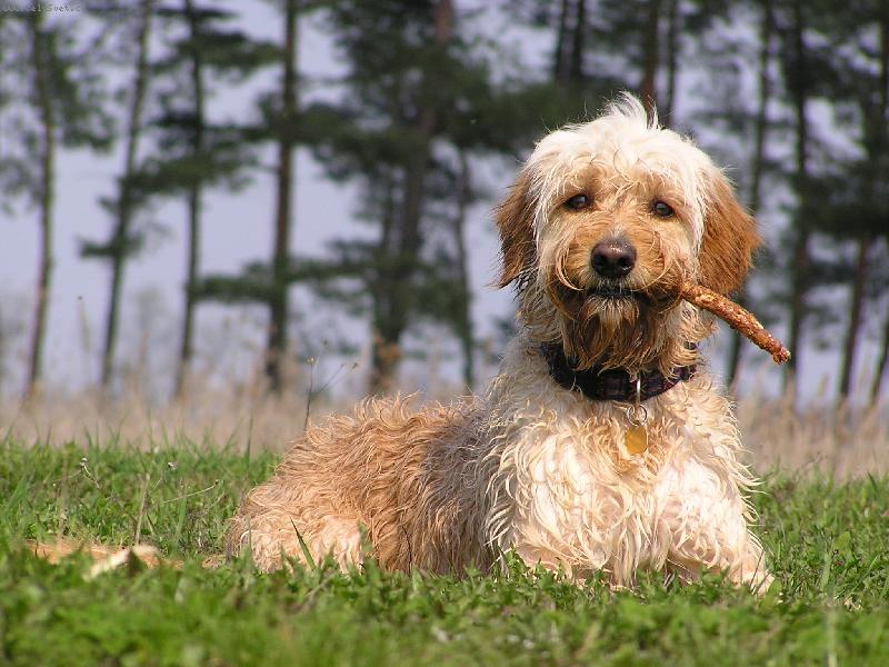 Foto: ... a zase ten Mat�j-Mat�j