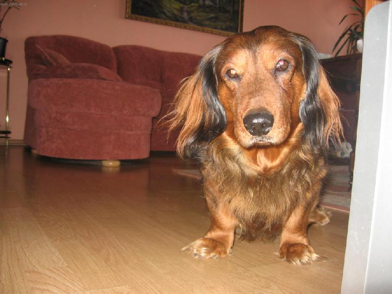 Foto: Beb�nek-Chcete m�?