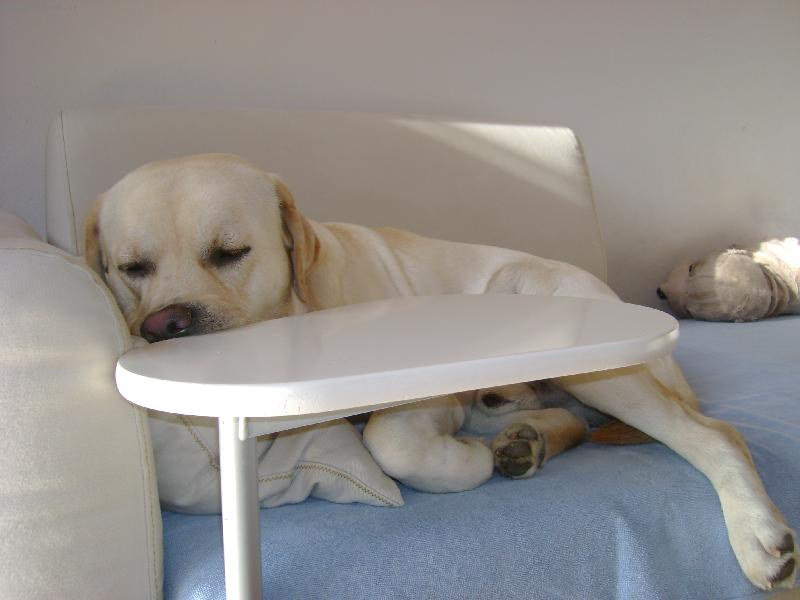 Foto: Dal�� pivo prosim