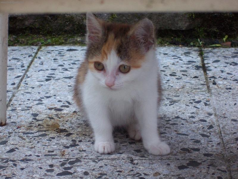 Foto: Peggy-Vzpom�nka na ml�d�