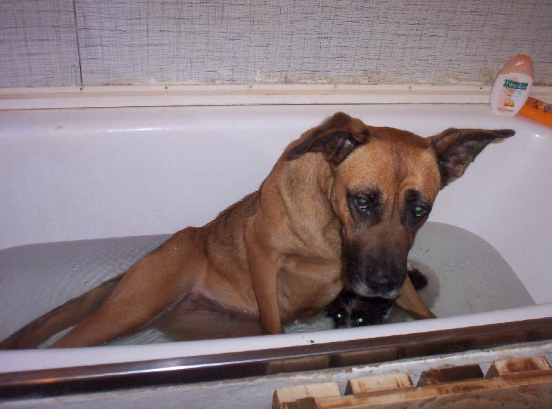 Foto: koup�n�-nesn��m koup�n�m