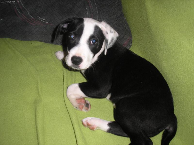 Foto: Na�e miminko-Na�e miminko