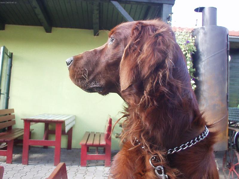 Foto: Rusty-�ek�n� na p�na