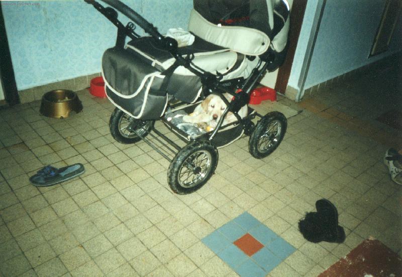 Foto: To jsem si na�el kr�sn� m�ste�ko.