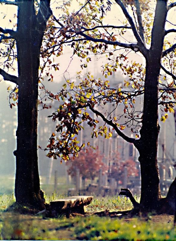 Foto: Z�ti�� s lavi�kou-p�i toulk�ch Vyso�inou