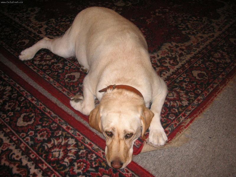 Foto: Bella-znud�n�