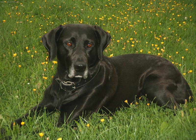 Foto: krasavice Sanynka-Sany 5let