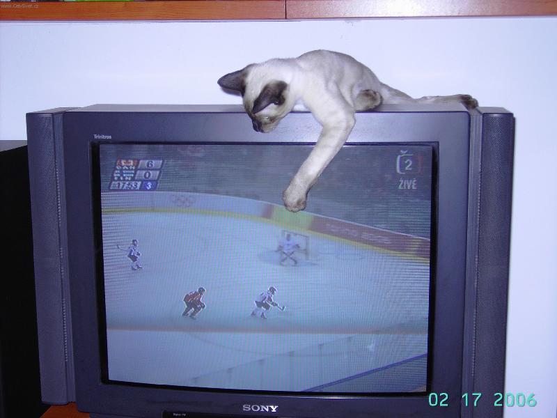 Foto: P�ihrej !!!!