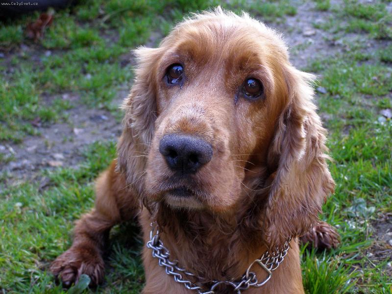 Foto: Rendy-N� mil��ek