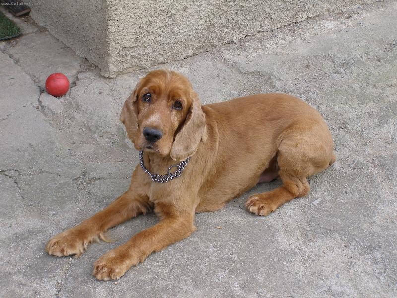 Foto: Rendy,Renou�ek-M�j letn� sest�ih, l�b�?