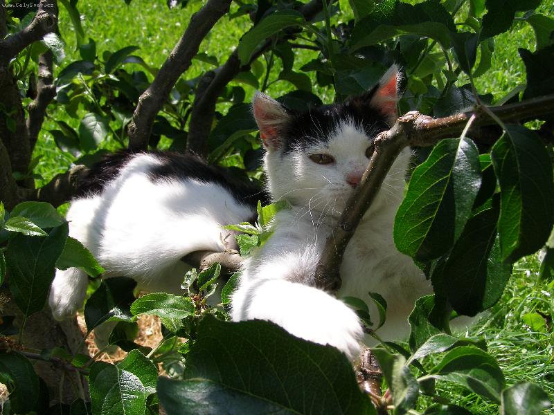 Foto: Ag�tka-To je v��ka!!