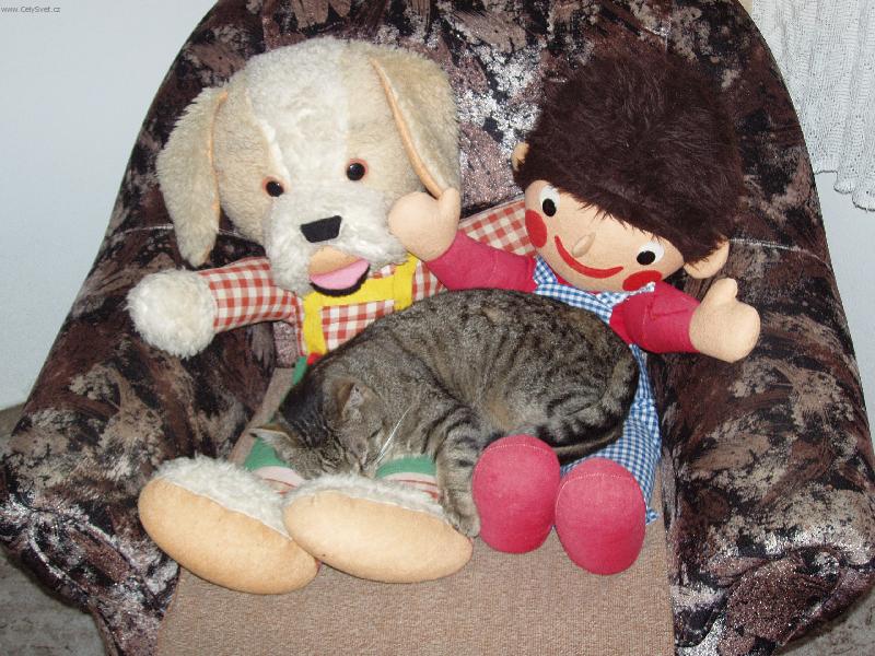 Foto: kamar�di-maskov�n� Moure�ka