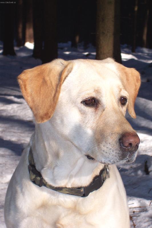 Foto: Portret sally-Sally