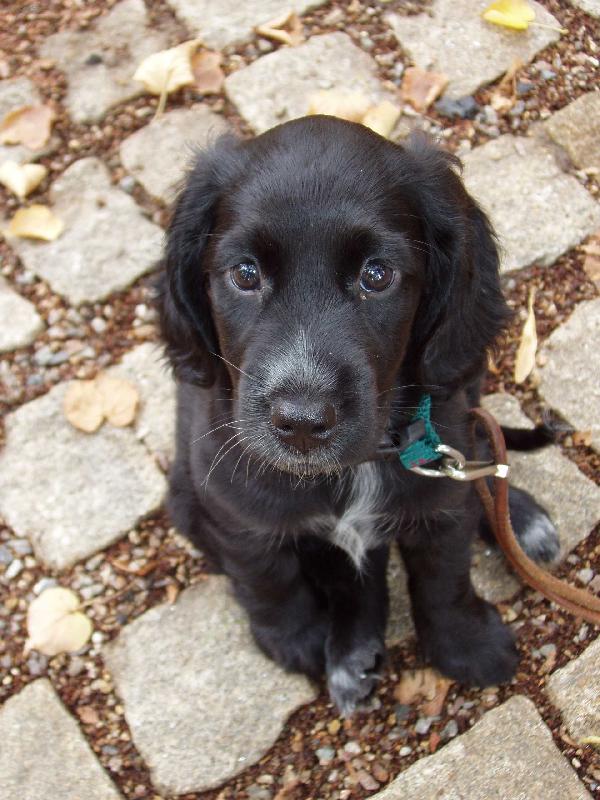 Foto: Mal� kn�kal