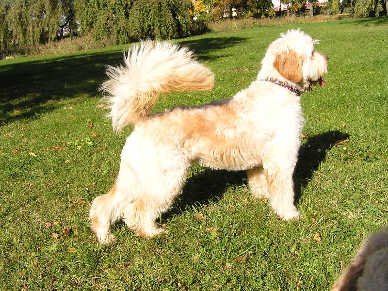 Foto: Mat�j��ek-...tak to jsem j� v cel�m sv�m ko�ichu