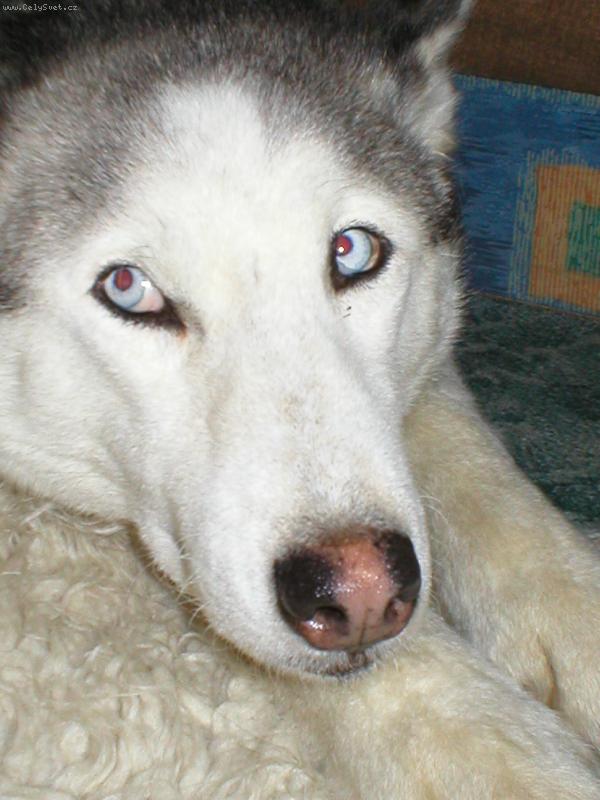 Foto: Nuda-Ach joooo