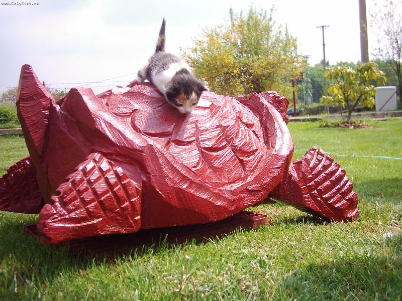 Foto: Micka a �elva-Micka a �elva