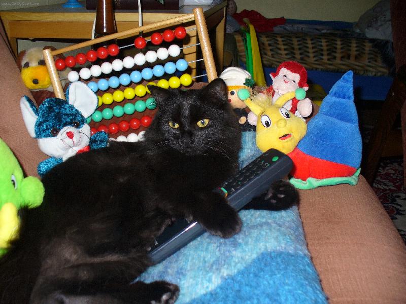 Foto: Mike�ek-Nen� nad pole�en��ko u televize s p��teli