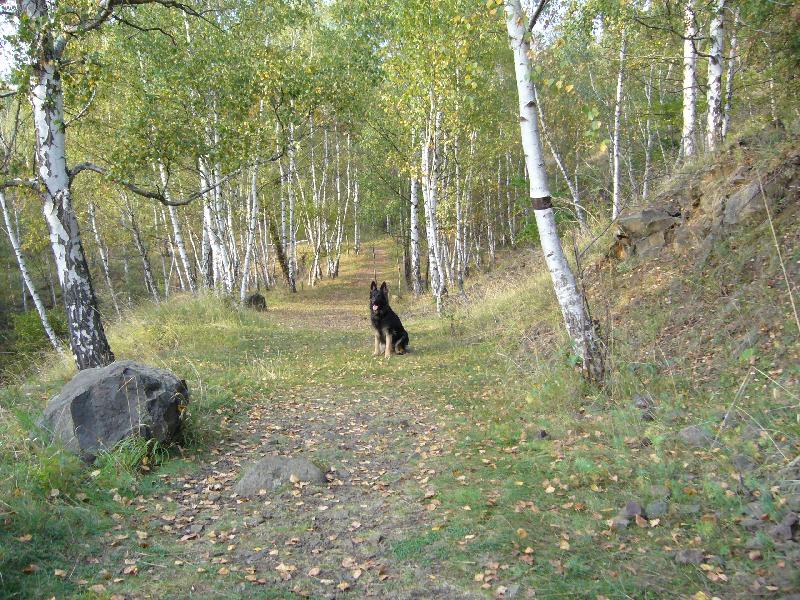 Foto: Rita na v�let�-Vina�ick� horka