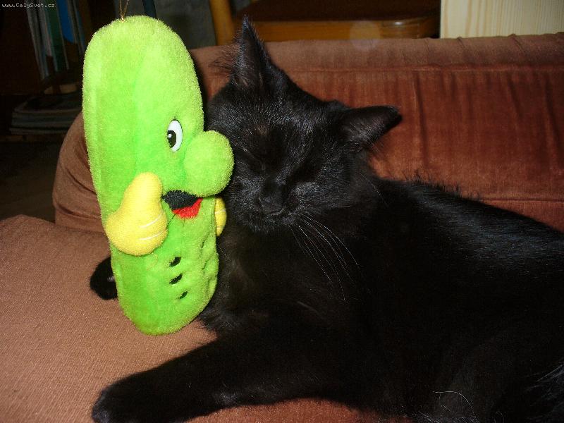 Foto: Mike�ek-Hal�, je tam n�kdo?