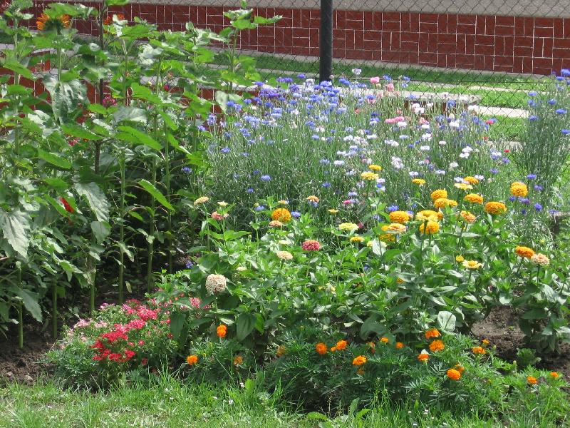 Foto: Zahr�dka-j���