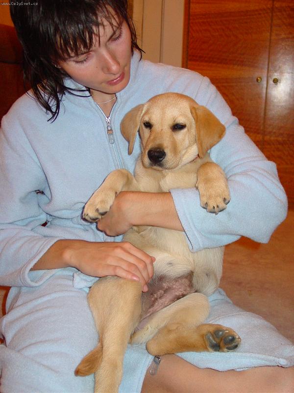 Foto: S novou pani�kou