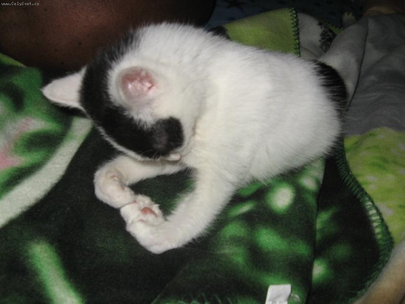 Foto: Jinak jsem norm�ln� :)-Pampal�nek medituje