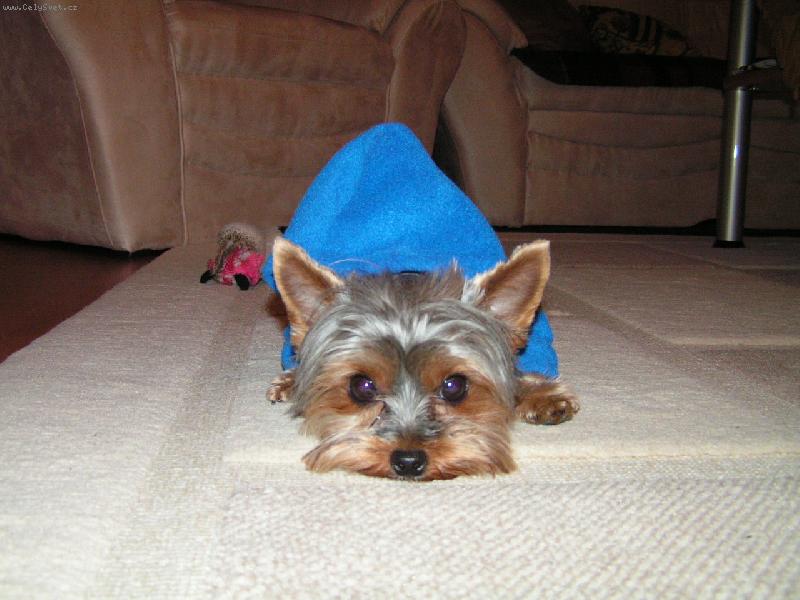 Foto: Jessinka-Ta pani�ka mi ned� pokoj!